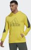 Adidas Future Icons Embroidered Badge of Sport Hoodie online kopen