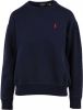 Ralph Lauren Sweatshirt miinto 33b59df6635b8285011aa , Blauw, Heren online kopen