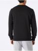 Adidas Essentials Big Logo Heren Sweatshirts Black Katoen Canvas online kopen
